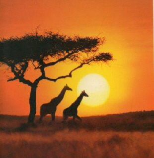 Afrika010